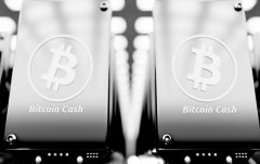 比特币现金怎么避免与比特币中心相同的过错，