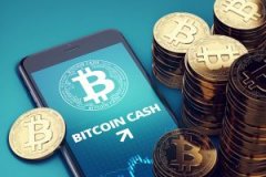 Remitano成为最新的Crypto公司，推出BCH支撑