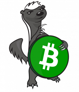 Bitcoin Has Now Forked Almost 70 Times