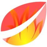 Bitfinex将诉讼扣押，由于系绳商标变得丑恶